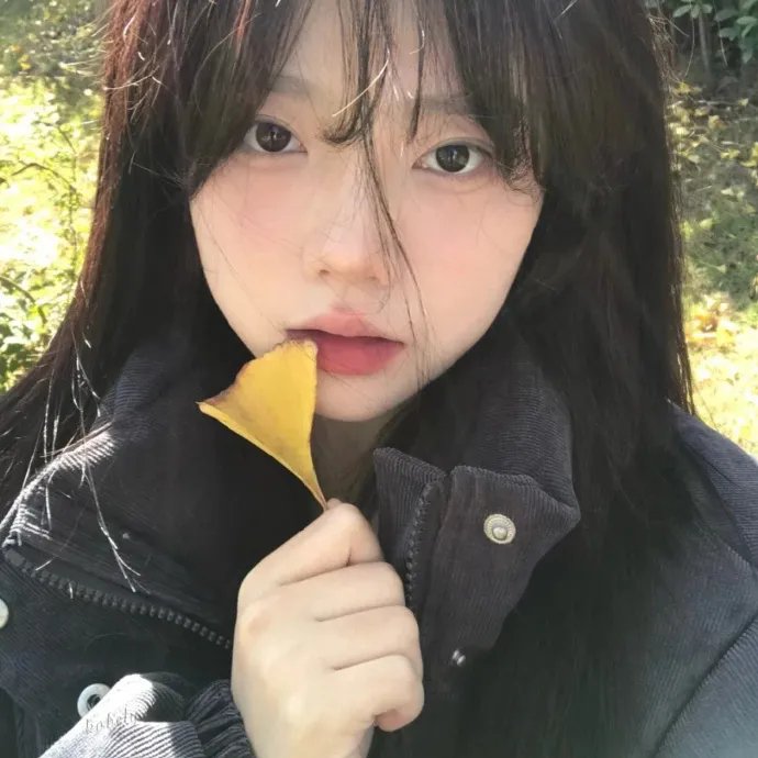 铁线蕨的忧郁